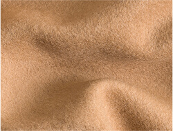 Camel Hair